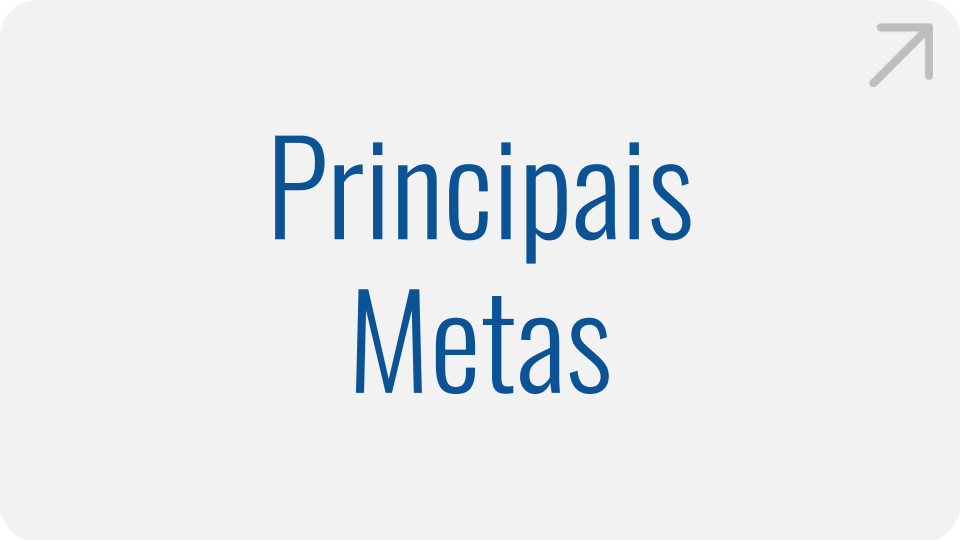 principais-metas.png principais-metas.png